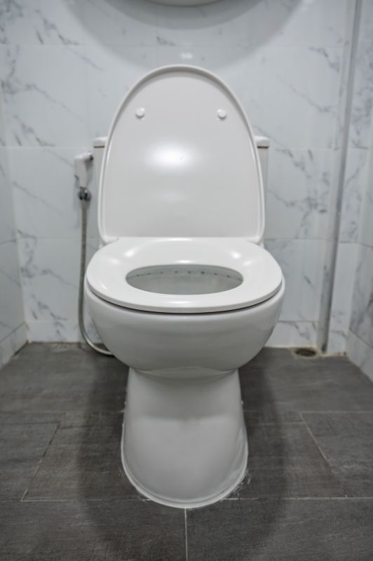 Broken Toilet Repair in Denver, CO